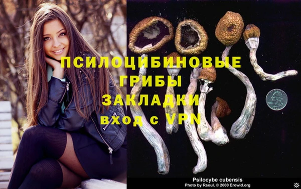 ECSTASY Вязьма