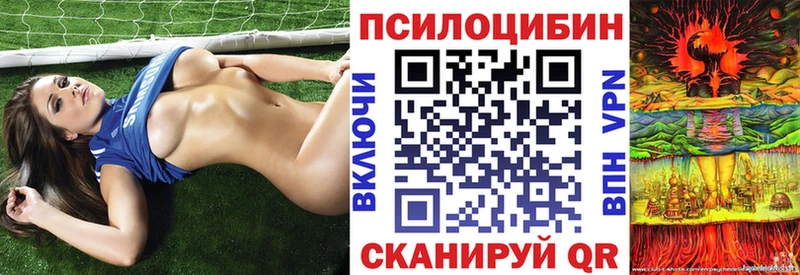 мега как войти сколько стоит Донецк Галлюциногенные грибы ЛСД